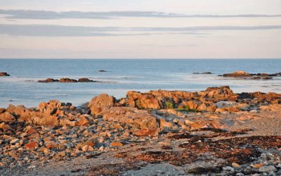 Narragansett Winter Beach Activities