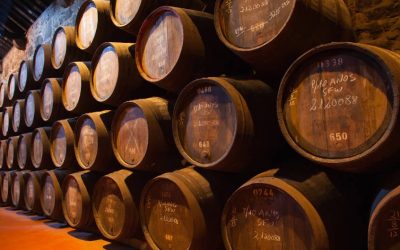 Catch The Break – Top 5 Things to Do in Narragansett in Late Spring/Early Summer