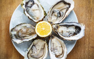 Matunuck Oyster Bar and Farm