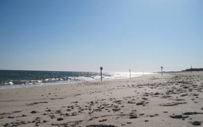 Winter Beach Walk in Rhode Island