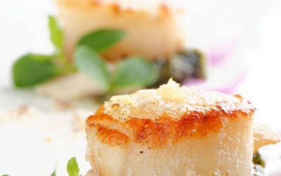 Fresh Seafood in Narragansett