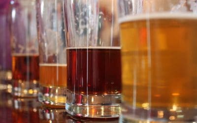 Local Brews in Narragansett